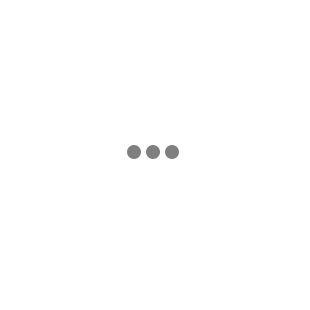 HCCC-13 ( Cửa cuốn mắc võng)
